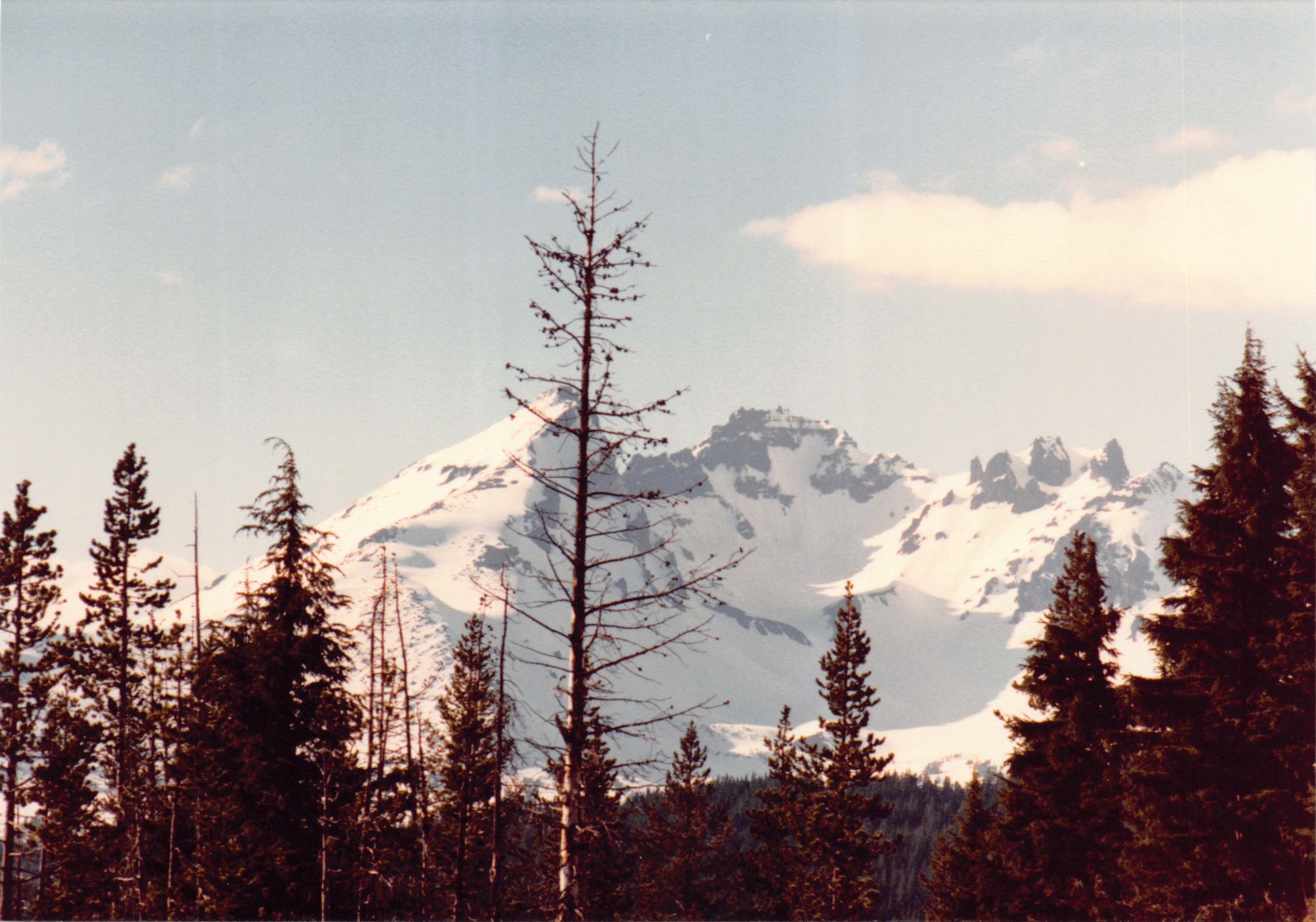1985_Part 2_01_073.jpg